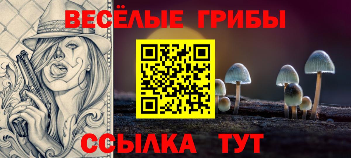 Галлюциногенные грибы Psilocybine cubensis Зима